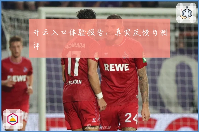 开云入口体验报告，真实反馈与测评